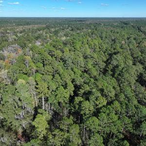 DJI_20251021081255_0684_D