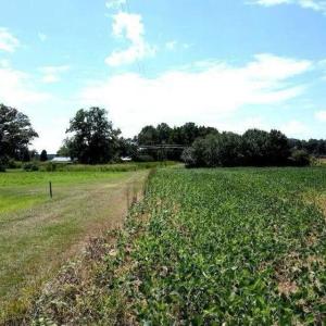 20250507184115734126000000-o