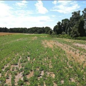 20250507184118213518000000-o