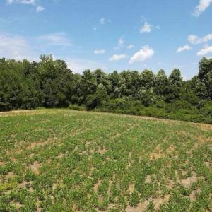 20250507184117632397000000-o