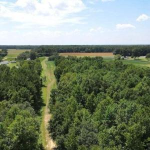 20250507184115073549000000-o