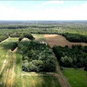 20250507184119435890000000-o