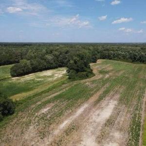 20250507184113901840000000-o