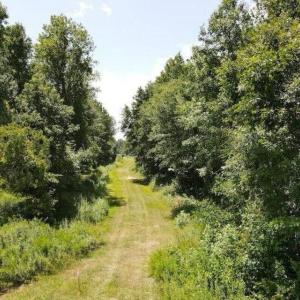 20250507184114513570000000-o