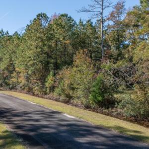 3_photo-177-castaway-road