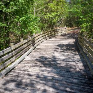 Brunswick Forest Ammenities-27