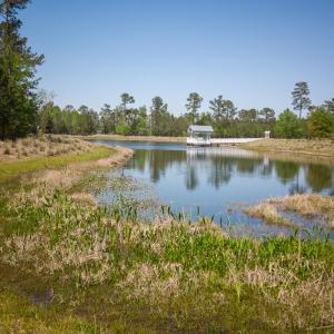 Brunswick Forest Ammenities-8