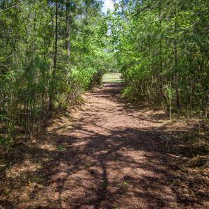 Brunswick Forest Ammenities-30