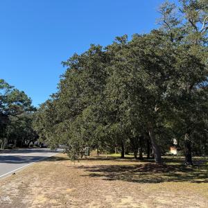 Road Side View