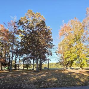 Fairway Lot Back view