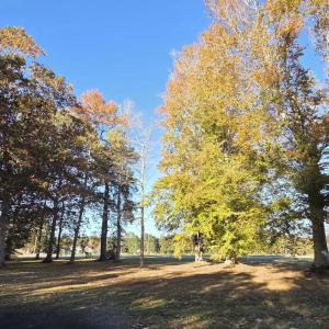 Add lot view Fairway