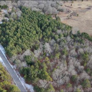 Screenshot 2026-01-29 9.49.13 PM