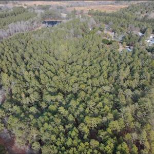 Screenshot 2026-01-29 9.48.50 PM