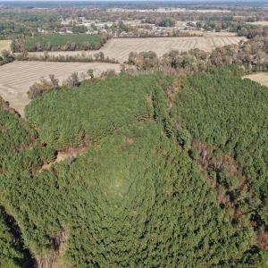 Drone Near Farmville-4