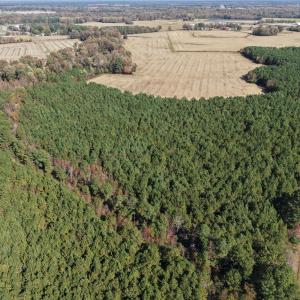 Drone Near Farmville-7