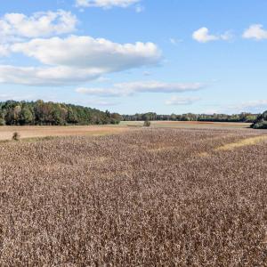 16-web-or-mls-DJI_20251024135645_0355_D