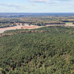 11-web-or-mls-DJI_20251024135221_0350_D