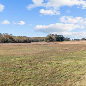 17-web-or-mls-DJI_20251024135751_0356_D