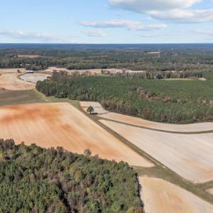 8-web-or-mls-DJI_20251024135039_0347_D