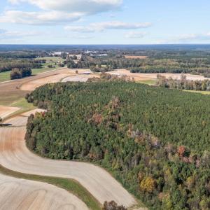 9-web-or-mls-DJI_20251024135125_0348_D