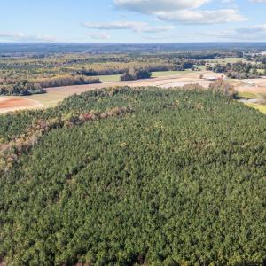 10-web-or-mls-DJI_20251024135153_0349_D