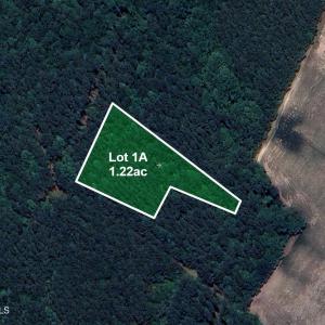 Lots1A-RiverBluff-Sat1