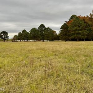 8DF46981-4B59-49CE-B55F-A4E71E8EEC99