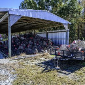 All Equipment Included