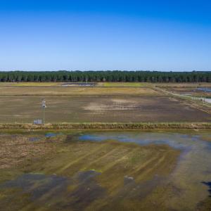 1270 Nc 43 Highway, Vanceboro, NC