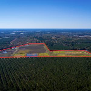 1270 Nc 43 Highway, Vanceboro, NC