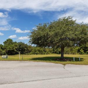2-web-or-mls-1S3A9774