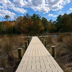 408 Tarpon Pier Fall