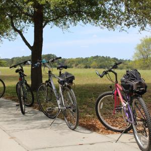 Bike Riding around the Local Area