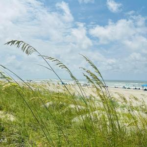 Local Beach