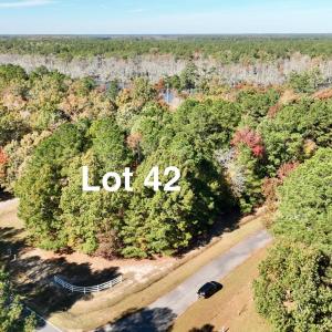 Lot11