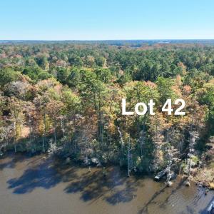 Lot7