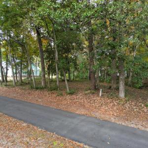 Peaceful, Natural Setting