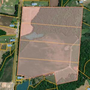 Screenshot 2025-11-11 at 12-02-25 Wayne