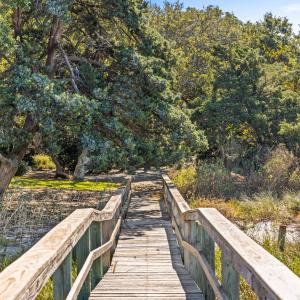 058_704_north_anderson-09_814