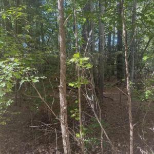 582066439_2042152033212523_3100330345637