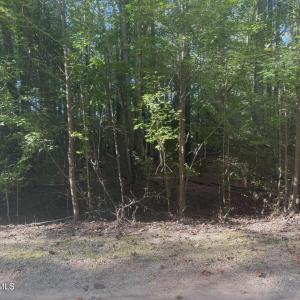 582109940_829601496503011_44909907959478