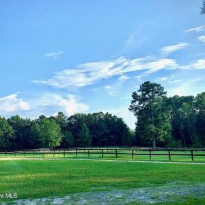 20250113174105848203000000-o