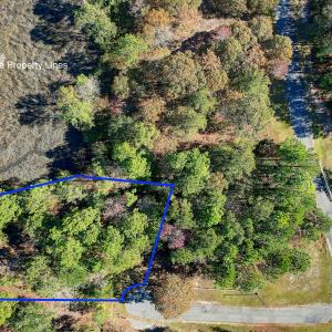 Approximate Lot Lines