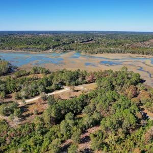 View of Shallotte River