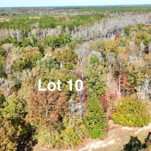 Lot11