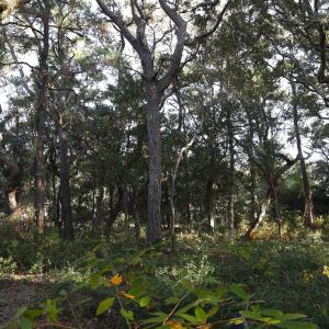 78th St 111 ET5A6705