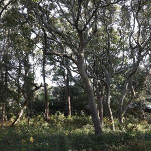 78th St. 111 ET5A6702