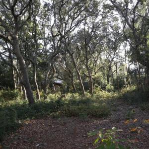 78th St. 111 ET5A6703