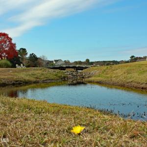 Lion's Paw Golf and Pond Views