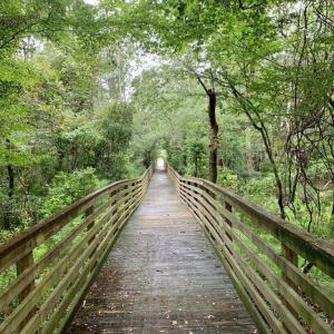 20200824194824655977000000-o